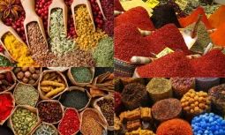 Turkish Spice Hangi Yemeklerde Kullanılır?